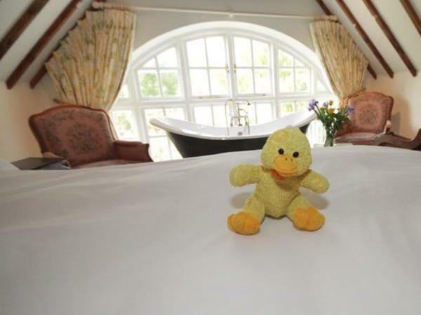ฟาร์มเชอร์รี่ออร์ชาร์ด Bed & Breakfast South Wraxall ภายนอก รูปภาพ